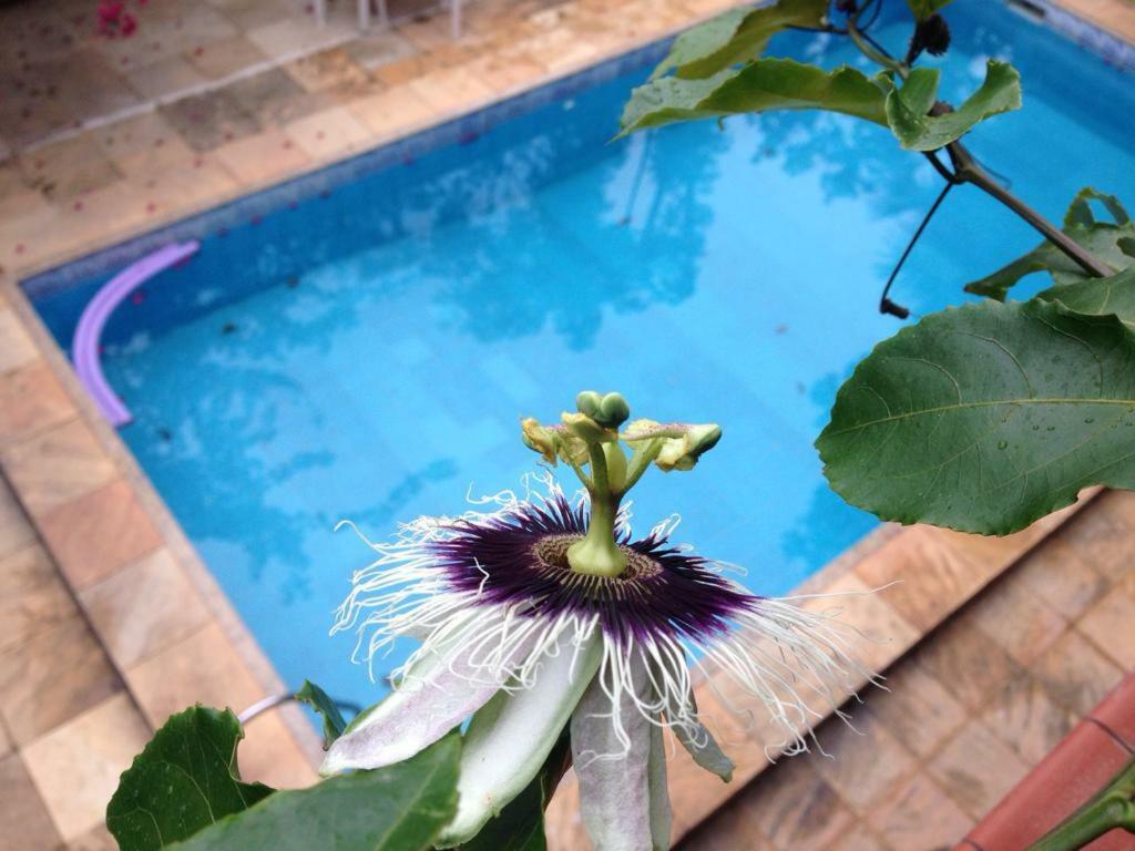 مبيت وإفطار Casa Flor باكيتا المظهر الخارجي الصورة